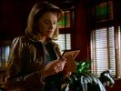 Nom du fichier : 1x02 (241).JPG
Poids du fichier : 33Ko
Dimensions : 576x432
Ajouté le : Avr 16, 2007 1x02 (241).JPG