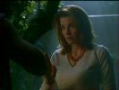 Nom du fichier : 1x04 (105).JPG
Poids du fichier : 23Ko
Dimensions : 576x432
Ajouté le : Avr 22, 2007 1x04 (105).JPG